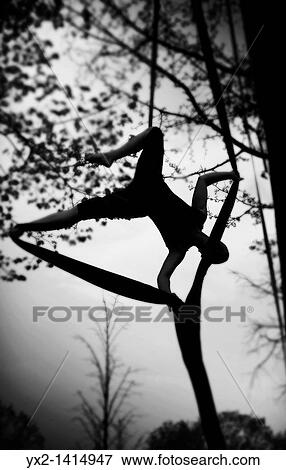 Woman doing acrobatics in a tree View Large Photo Image Stock Photo - Woman doing acrobatics in a tree. Fotosearch