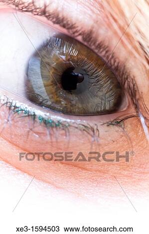 woman eye View Large Photo Image Stock Image - woman eye. Fotosearch