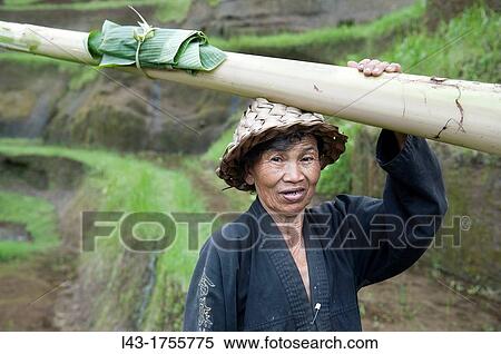 woman farmer in rice terrace in Bali, Indonesia View Large Photo Image Stock Photography - woman farmer in rice terrace in Bali, Indonesia. Fotosearch