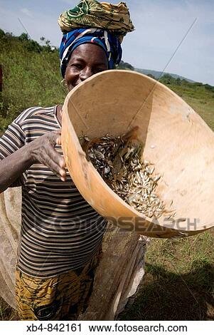 Woman fishing, Doune, Republic of Guinea View Large Photo Image Stock Image - Woman fishing, Doune, Republic of Guinea. Fotosearch