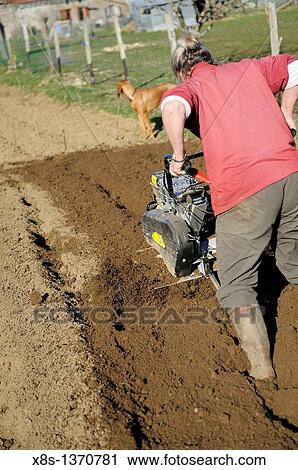 Woman gardener rotovating the vegetable plot ready for planting View Large Photo Image Stock Image - Woman gardener rotovating the vegetable plot ready for planting. Fotosearch