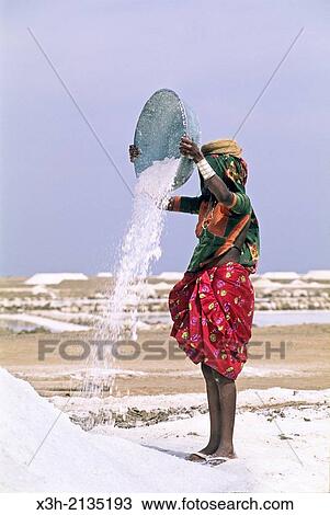 woman harvesting salt at a salt evaporation pond at Rann of Kutch, State of Gujarat, India, South Asia. View Large Photo Image Stock Image - woman harvesting salt at a salt evaporation pond at Rann of Kutch, State of Gujarat, India, South Asia.. Fotosearch