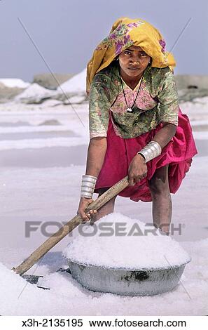 woman harvesting salt at a salt evaporation pond at Rann of Kutch, State of Gujarat, India, South Asia. View Large Photo Image Stock Photography - woman harvesting salt at a salt evaporation pond at Rann of Kutch, State of Gujarat, India, South Asia.. Fotosearch