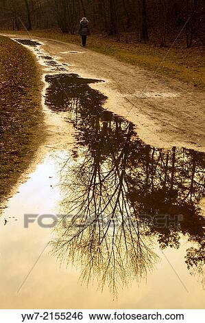 Woman having a walk in Mlociny Park, Warsaw, Poland. View Large Photo Image Stock Photograph - Woman having a walk in Mlociny Park, Warsaw, Poland.. Fotosearch