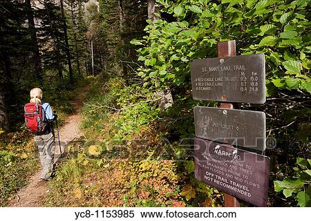 Woman hiker on Saint Mary Lake trail, Glacier National Park View Large Photo Image Stock Photography - Woman hiker on Saint Mary Lake trail, Glacier National Park. Fotosearch