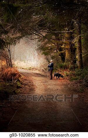 WOMAN HIKER WITH DOG ON FOREST TRAIL View Large Photo Image Stock Photography - WOMAN HIKER WITH DOG ON FOREST TRAIL. Fotosearch