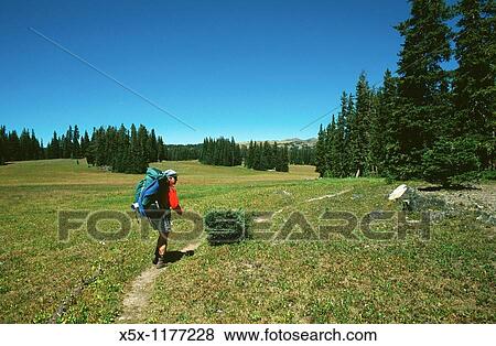 Stock Photo - Woman hiking across mountain meadow near Steamboat Springs, Colorado, USA. Fotosearch