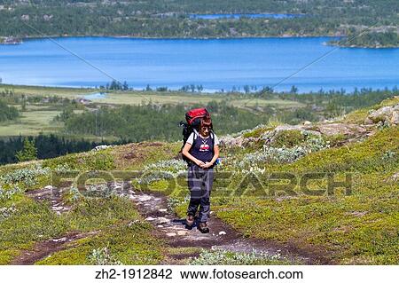 Woman hiking in mountain area in Swedish lapland with lake vassijaure in background View Large Photo Image Stock Image - Woman hiking in mountain area in Swedish lapland with lake vassijaure in background. Fotosearch
