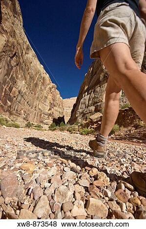 Woman hiking into the Grand Wash slot canyon in Capital Reef National Park, Utah View Large Photo Image Stock Photo - Woman hiking into the Grand Wash slot canyon in Capital Reef National Park, Utah. Fotosearch