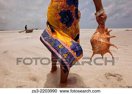 Woman holding a sea shell, Jambiani, Zanzibar Island, Tanzania, Indian Ocean, East Africa. View Large Photo Image Stock Image - Woman holding a sea shell, Jambiani, Zanzibar Island, Tanzania, Indian Ocean, East Africa.. Fotosearch