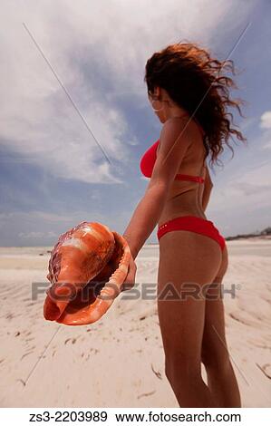 Woman holding a sea shell, Nungwi, Zanzibar Island, Tanzania, Indian Ocean, East Africa. View Large Photo Image Stock Photo - Woman holding a sea shell, Nungwi, Zanzibar Island, Tanzania, Indian Ocean, East Africa.. Fotosearch