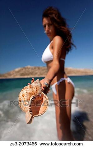 Woman holding a winkle in her hand, Naxos, Cyclades Islands, Greek Islands, Greece, Europe. View Large Photo Image Stock Photography - Woman holding a winkle in her hand, Naxos, Cyclades Islands, Greek Islands, Greece, Europe.. Fotosearch
