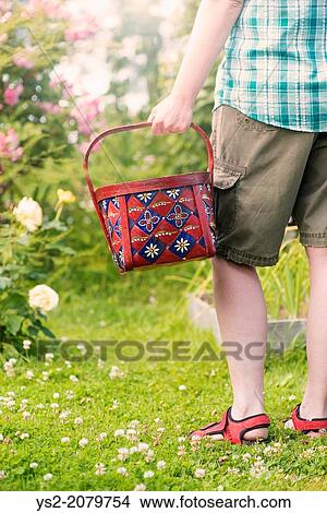 Woman holding basket in vegetable garden, Sweden. View Large Photo Image Picture - Woman holding basket in vegetable garden, Sweden.. Fotosearch
