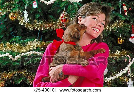 Woman holding her Christmas puppy View Large Photo Image Stock Image - Woman holding her Christmas puppy. Fotosearch