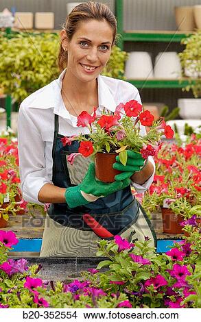 Woman holding pot with surfinias at garden centre View Large Photo Image Picture - Woman holding pot with surfinias at garden centre. Fotosearch