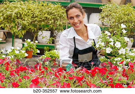 Woman holding pot with surfinias at garden centre View Large Photo Image Stock Photo - Woman holding pot with surfinias at garden centre. Fotosearch