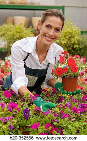 Woman holding pot with surfinias at garden centre View Large Photo Image Stock Photograph - Woman holding pot with surfinias at garden centre. Fotosearch