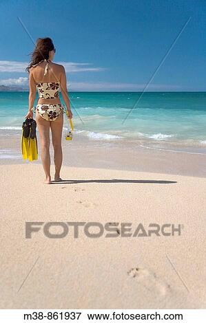 Woman holding snorkel gear on the beach Maui, Hawaii View Large Photo Image Stock Photo - Woman holding snorkel gear on the beach Maui, Hawaii. Fotosearch