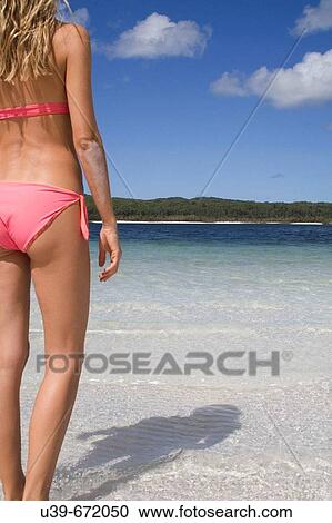 Woman in bikini standing in a beautiful lake, seen from behind. Fraser Island, Australia View Large Photo Image Stock Image - Woman in bikini standing in a beautiful lake, seen from behind. Fraser Island, Australia. Fotosearch