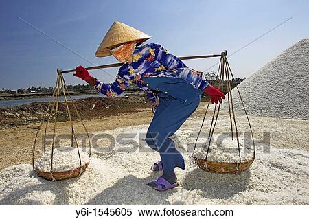 Stock Photography - Woman in conical hat prepares to dump pannier baskets of salt on a new salt mound Vietnam. Fotosearch