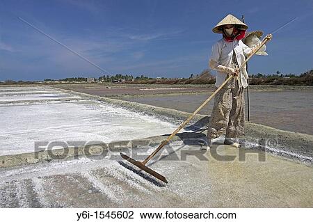 Woman in conical hat rakes salt loose from surface of salt pond Phan Thiet Vietnam View Large Photo Image Stock Image - Woman in conical hat rakes salt loose from surface of salt pond Phan Thiet Vietnam. Fotosearch