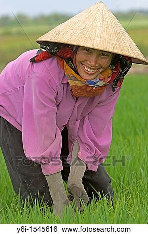 rice field hat