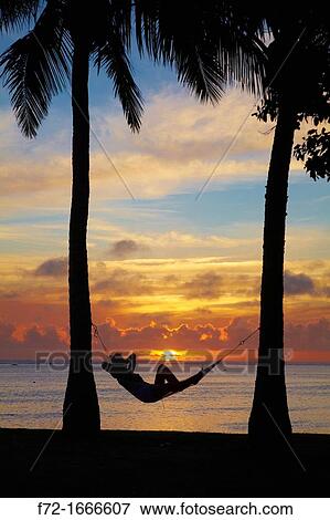 Woman in hammock, and palm trees at sunset, Coral Coast, Viti Levu, Fiji, South Pacific View Large Photo Image Stock Photo - Woman in hammock, and palm trees at sunset, Coral Coast, Viti Levu, Fiji, South Pacific. Fotosearch