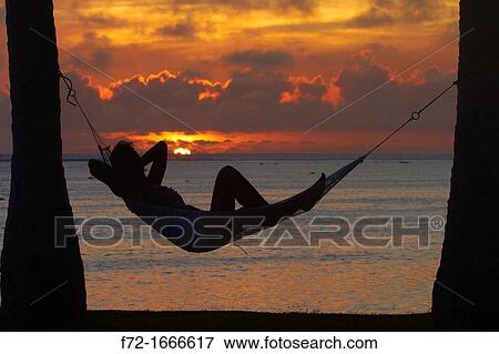 Woman in hammock, and palm trees at sunset, Coral Coast, Viti Levu, Fiji, South Pacific View Large Photo Image Stock Photo - Woman in hammock, and palm trees at sunset, Coral Coast, Viti Levu, Fiji, South Pacific. Fotosearch