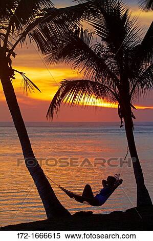 Woman in hammock, and palm trees at sunset, Coral Coast, Viti Levu, Fiji, South Pacific View Large Photo Image Stock Photography - Woman in hammock, and palm trees at sunset, Coral Coast, Viti Levu, Fiji, South Pacific. Fotosearch