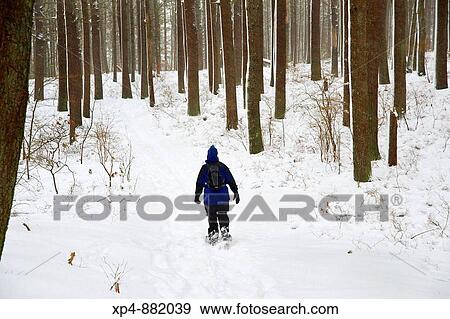 Woman in hat and blue jacket walking along a trail through the woods on snow shoes during a light snowfall. View Large Photo Image Stock Photo - Woman in hat and blue jacket walking along a trail through the woods on snow shoes during a light snowfall.. Fotosearch