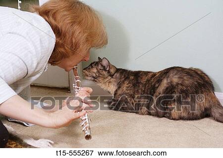 Woman in her 40's playing flute and play the music for her cat, and the cat doesnt like it? View Large Photo Image Stock Photo - Woman in her 40's playing flute and play the music for her cat, and the cat doesnt like it?. Fotosearch