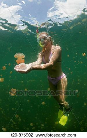 Stock Image - Woman in Jellyfish Lake, Mastigias papua etpisonii, Jellyfish Lake, Micronesia, Palau. Fotosearch