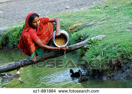 Woman in Joy Mun Gol village on the Bangara River, Ganges Delta, Sundarbans, Bangladesh View Large Photo Image Picture - Woman in Joy Mun Gol village on the Bangara River, Ganges Delta, Sundarbans, Bangladesh. Fotosearch