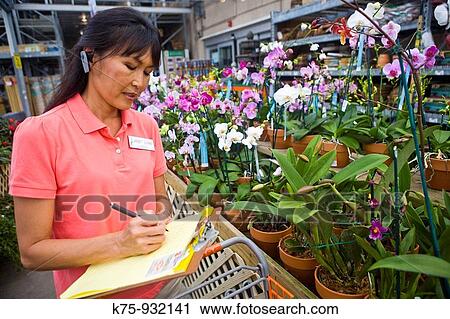 Woman inventory plants View Large Photo Image Stock Image - Woman inventory plants. Fotosearch