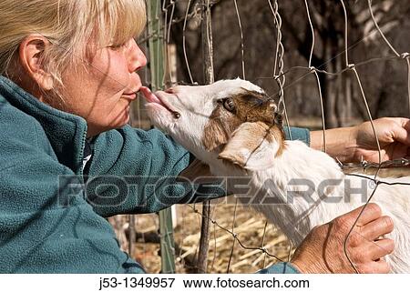 Stock Photo - Woman kissing goat kid. Fotosearch