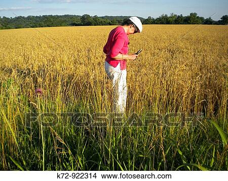 Woman looking at wheat field. View Large Photo Image Picture - Woman looking at wheat field.. Fotosearch