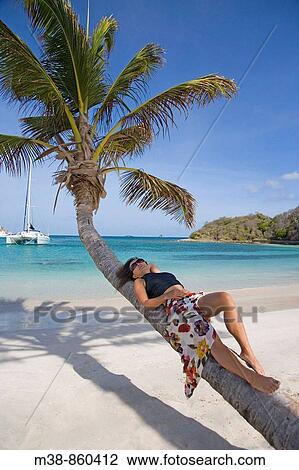 Woman lying on palm tree Salt Whistle Bay in St Vincent and the Grenadines View Large Photo Image Stock Image - Woman lying on palm tree Salt Whistle Bay in St Vincent and the Grenadines. Fotosearch