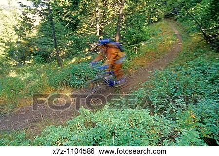 Woman, mountain biking The Cold Springs Trail high on Bald Mountain in the Smoky Mountains near the city of Sun Valley, Idaho View Large Photo Image Stock Photograph - Woman, mountain biking The Cold Springs Trail high on Bald Mountain in the Smoky Mountains near the city of Sun Valley, Idaho. Fotosearch