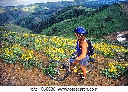 Woman mountain biking The Pike Mountain Trail on Pike Mountain high in the Goose Creek Mountains Idaho USA View Large Photo Image Stock Image - Woman mountain biking The Pike Mountain Trail on Pike Mountain high in the Goose Creek Mountains Idaho USA. Fotosearch