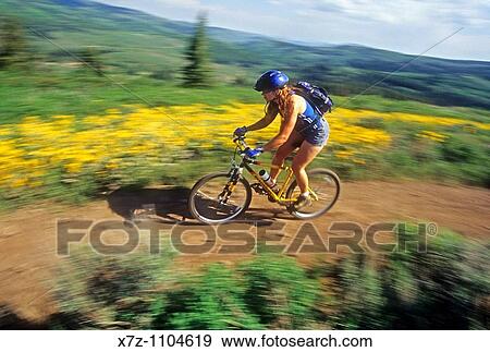 Woman, mountain biking The Pike Mountain Trail on Pike Mountain high in the Goose Creek Mountains, Idaho View Large Photo Image Stock Photo - Woman, mountain biking The Pike Mountain Trail on Pike Mountain high in the Goose Creek Mountains, Idaho. Fotosearch