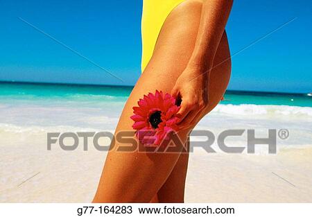 Woman on Caribbean beach View Large Photo Image Stock Image - Woman on Caribbean beach. Fotosearch