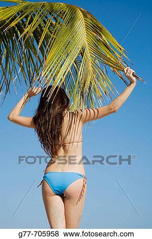 Woman on the beach. Key Biscayne, Florida, USA View Large Photo Image Stock Photo - Woman on the beach. Key Biscayne, Florida, USA. Fotosearch