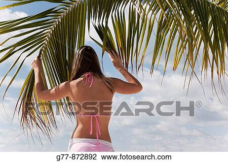 Woman on the beach, Miami, Florida, USA View Large Photo Image Stock Image - Woman on the beach, Miami, Florida, USA. Fotosearch