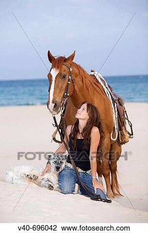 Woman on the beach with horse and dog View Large Photo Image Stock Image - Woman on the beach with horse and dog. Fotosearch