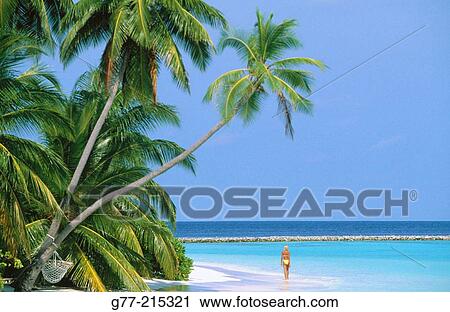 Woman on tropical beach. Maldives Islands View Large Photo Image Stock Image - Woman on tropical beach. Maldives Islands. Fotosearch