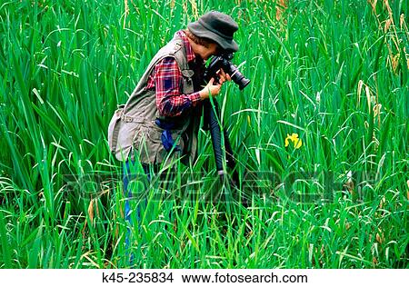 Picture - Woman photographing Fleur-de-lis, Umpqua River, Oregon coast, USA. Fotosearch