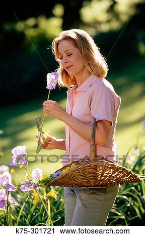 woman picking flowers in her perennial garden View Large Photo Image Stock Image - woman picking flowers in her perennial garden. Fotosearch