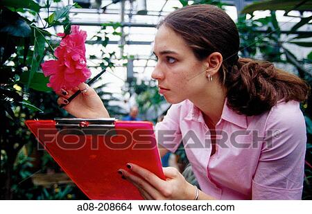 Woman View Large Photo Image Picture - Woman. Fotosearch