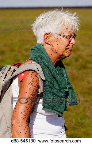 Stock Image - Woman plagued by flies.. Fotosearch