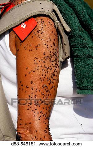 Woman plagued by flies. View Large Photo Image Stock Image - Woman plagued by flies.. Fotosearch